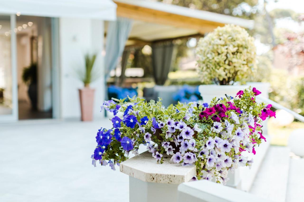 Park Hotel Giusy Lido di Camaiore Zewnętrze zdjęcie